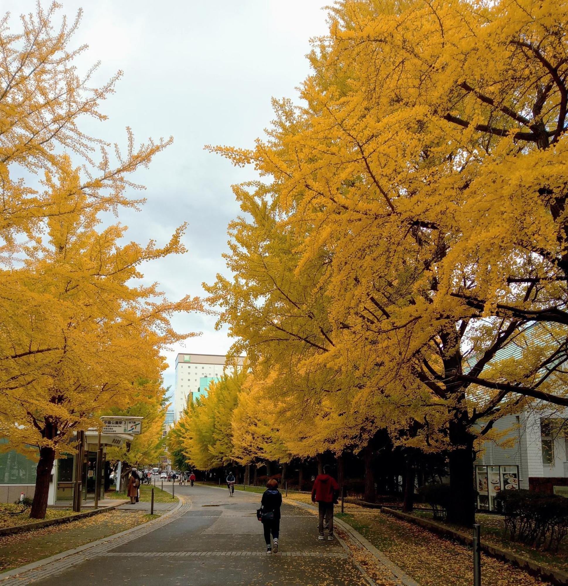 札幌市Aup178アパートメント エクステリア 写真